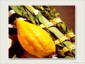 The Lulav